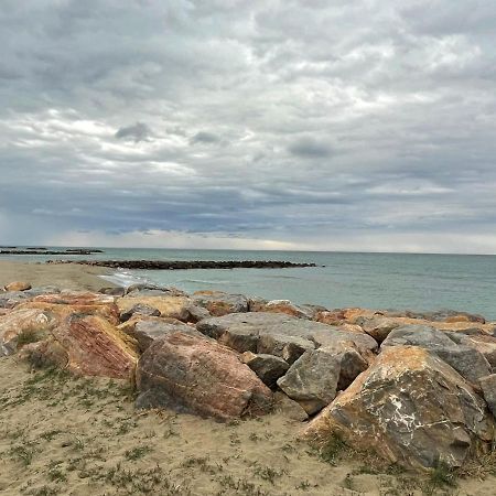 Port Barcares Vue Port Et Mer Le Barcarès Εξωτερικό φωτογραφία