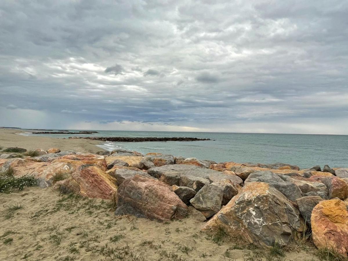Port Barcares Vue Port Et Mer Le Barcarès Εξωτερικό φωτογραφία